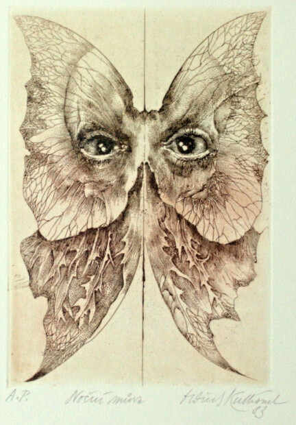 Oldřich Kulhánek - Noční můra