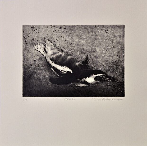 Tomáš Hřivnáč; 2020 - Tučňák