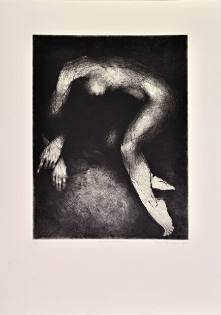 Tomáš Hřivnáč; 2018 - Nejasná vzpomínka II