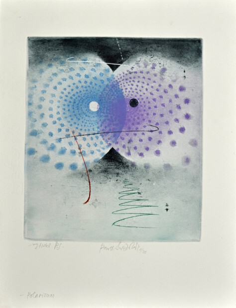 Pavel Sukdolák - Polarisace