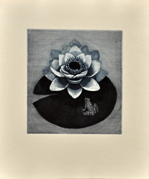 Emilie Tomanová - Leknín