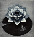 Emilie Tomanová - Leknín