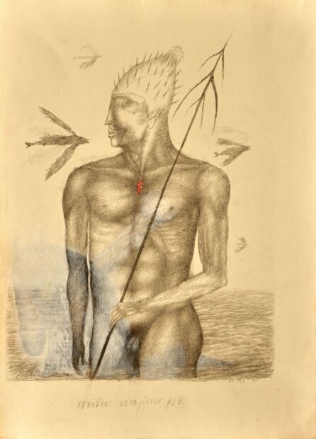 Jindra Čapek - Strážce létajících ryb