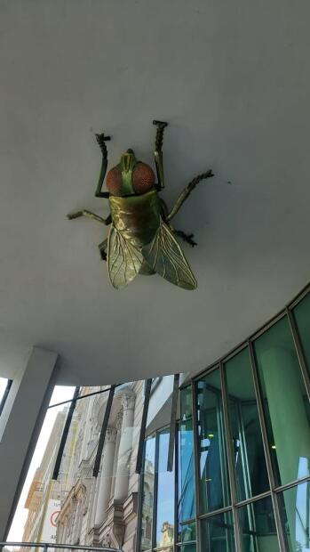 Michal Trpák - Co je štěstí?