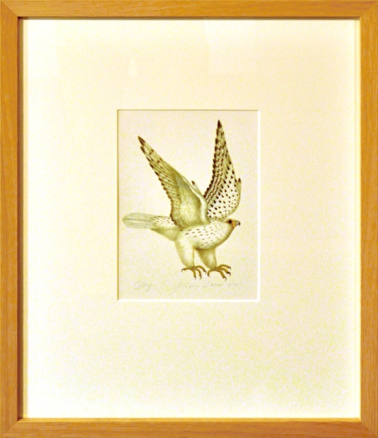 Jindra Čapek - Pohádky ledového větru