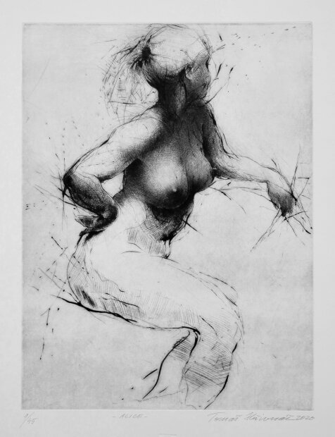 Tomáš Hřivnáč; 2021 - Alice