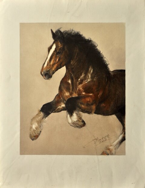 Ladislav Kuklík; 2010 - Těžký kůň