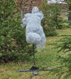 Veronika Psotková; 2022 - Nymfa II