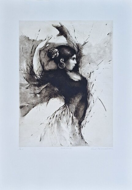 Tomáš Hřivnáč - Flamenco VIII