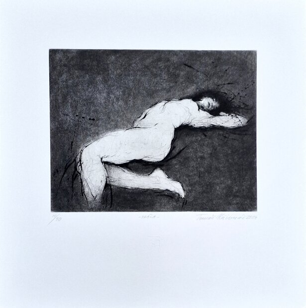 Tomáš Hřivnáč; 2024 - Skála