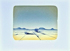 Krajina napadená vegetací