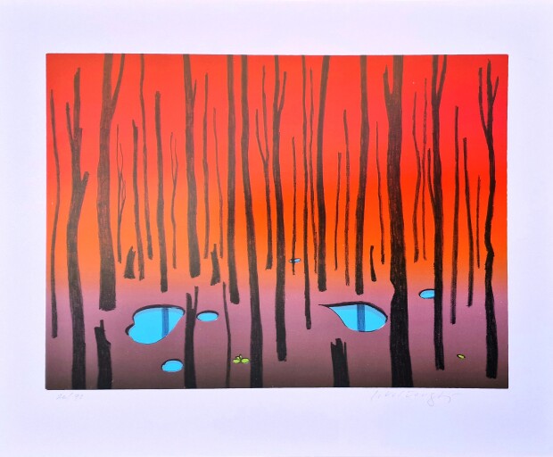 Josef Velčovský - Finský les