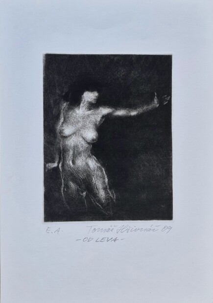 Tomáš Hřivnáč; 2009 - Od leva