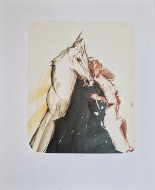  Martin Walser- Prchající kůň 