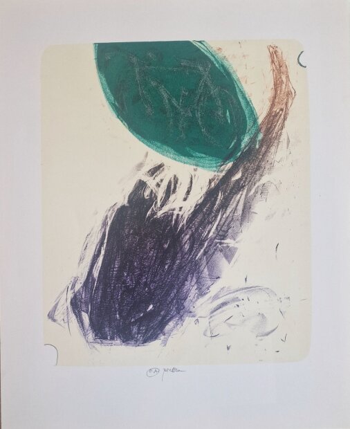 Pavel Roučka - Martin Walser- Prchající kůň