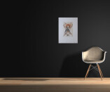 Oldřich Kulhánek - Hommage à Nicolaus Copernicus