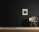 Emilie Tomanová - Leknín