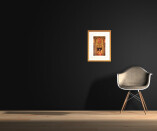 Jindra Čapek - Pták Ohnivák